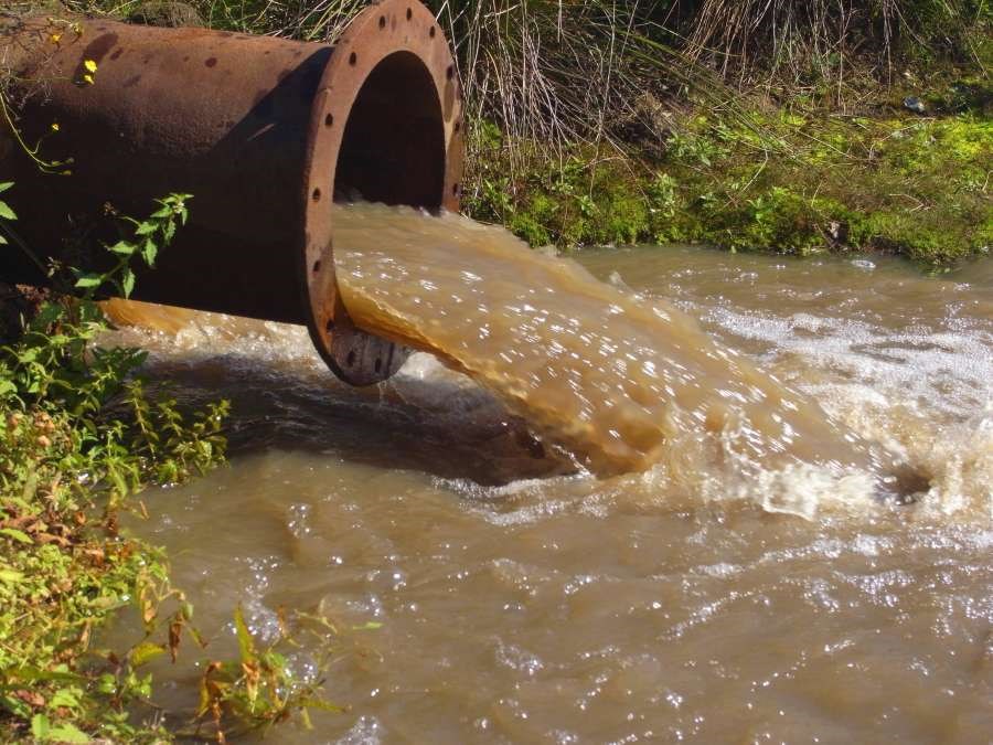 氨氮含量過高的水質